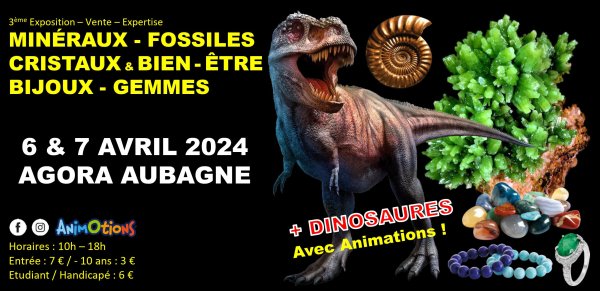 3ème Salon Minéraux Fossiles Cristaux Bien-Être Bijoux Gemmes Expo Dinosaures