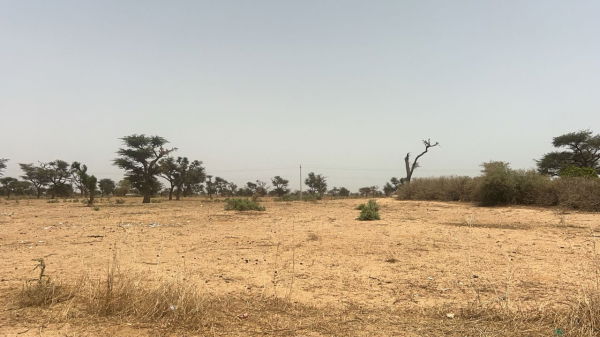 Terrains 225 mètres carrés à vendre à Malicounda, Sénégal