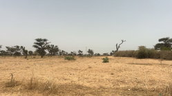 Terrains 225 mètres carrés à vendre à Malicounda, Sénégal