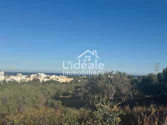 Vente Terrain d’Exception Hammamet Nord Kharrouba Tunisie