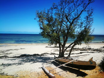 Bord de mer Maison Plage lagon magnifique Ambolimailaka Proche Mangily / Ifaty