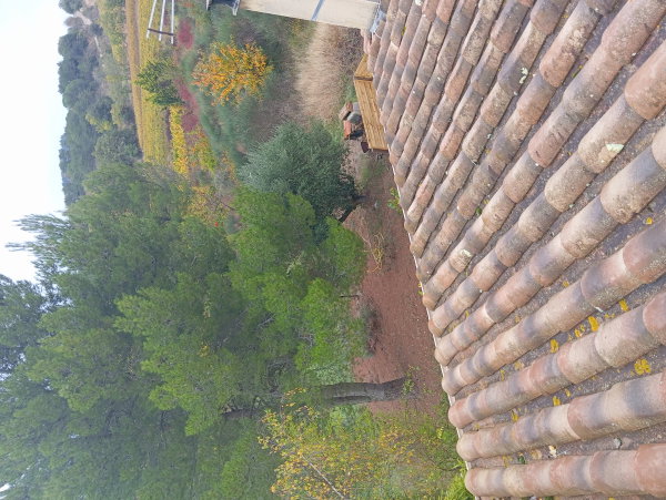 Toit et vue sur la nature