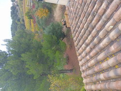 Toit et vue sur la nature