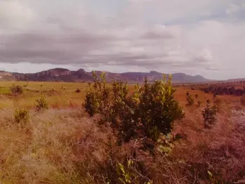 VENTE BEAUX TERRAIN SISE ISALO Toliara Madagascar