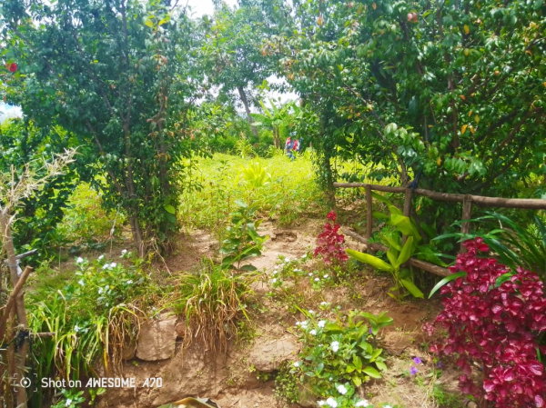 Terrain à vendre à Ampefy 1175m2 suite