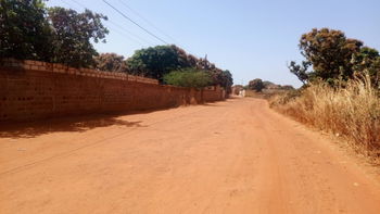 terrains 300 mètres carrés  à vendre à warang