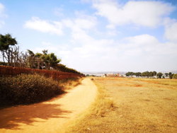 Terrain Ambovo Ambohidratrimo