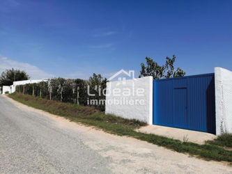 Annonce Vente Terrain Selima 10 km Hammamet Nabeul Tunisie