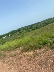 N'douci