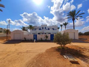 Vente Propriété l&#039;architecture typique Djerba Tunisie