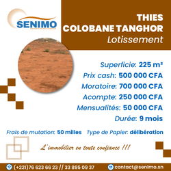Vente 🌿 Terrain Colobane Tanghor – Opportunité Exceptionnelle ! 🌿 Thies