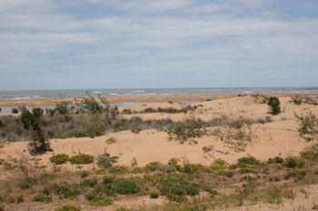 Vente TERRAIN TITRE Essaouira Maroc