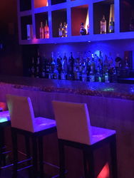 Hotesse Barmaid Paris