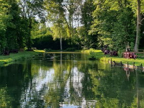 l'étang de pêche à la truite