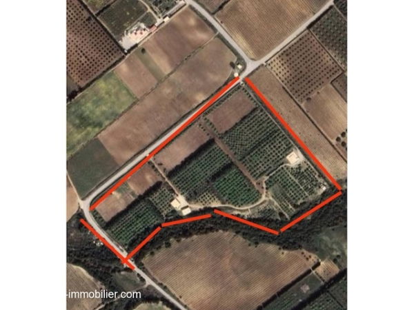 Villa moderne avec piscine