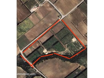 ferme avec des villas à vendre à Nabeul