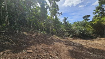 BAISSE DE PRIX - Paopao Terrain 1000 m² constructible vue montagnes (Lot B)