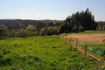 Terrain de 1000m2 avec projet approuvé - 15 minutes de Caldas da Rainha