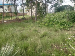 TERRAIN 870M2 A VENDRE BEHITSY AMBOHIMANGAKELY ANTANANARIVO