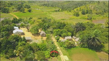 Vente 1 TERRAIN 10 Hectar TAMATAVE Toamasina Madagascar