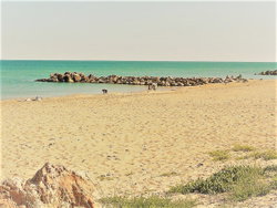 plage