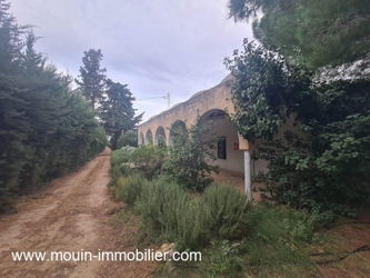Vente FERME BENI KHALLED Beni Khalled Nabeul Tunisie