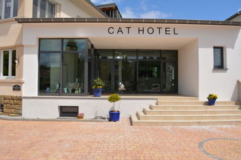Pension pour chats www cathotel lu Luxembourg
