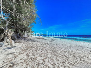 Vente BELLE VILLA ACCES MER MOTU TEMAE Moorea-Maiao Polynésie Française