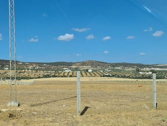 Vente TERRAIN MZIRAA Birbouregba Hammamet Tunisie
