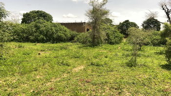 Terrain 225m2 à Gandigal