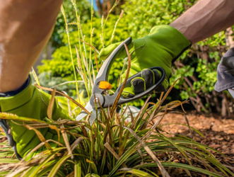 Prestation de jardinage