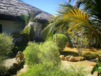 Location BELLE VILLA CHARME Mangily MADAGASCAR Toliara