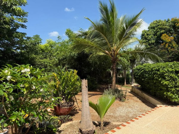 Grand terrain magnifiquement arboré