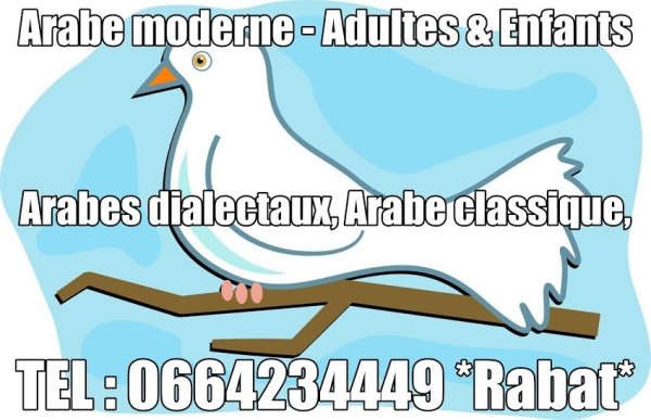 Cours /Professeur D'arabe-Système Marocain Français Anglophone
