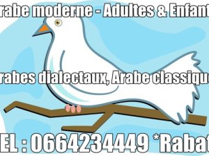 Cours /Professeur D'arabe-Syst&egrave;me Marocain Fran&ccedil;ais &amp; Anglophone