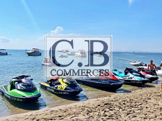 Fonds commerce COMMERCE LOCATION SCOOTERS DES MERS PLEIN FONCTIONNEMENT Murcie