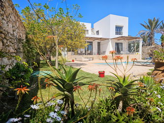 jardin