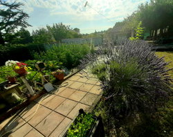 jardin