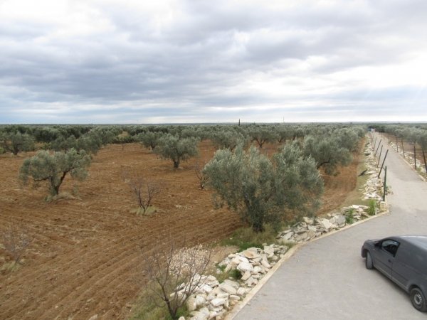 Vente Terrain agricole aus alentours sidi bouali Sousse Tunisie