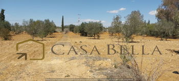 Vente 1 terrain de 3000 mètres carrés Sidi Bouali Sousse Tunisie