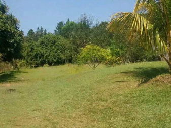 Vente TERRAIN 3000m² FOULPOINTE Toamasina Madagascar