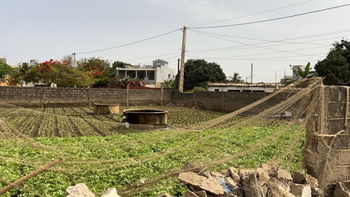 terrain de 487  mètres carrés  à vendre à Saly