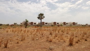 terrains 280 mètres carrés  à vendre à Saly