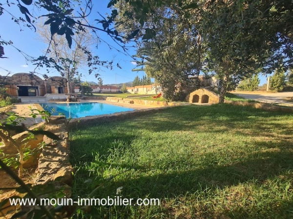 JARDIN ET PISCINE