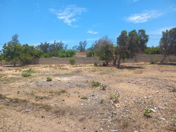 Vente Mangily- Tulear côté plage Toliara Madagascar