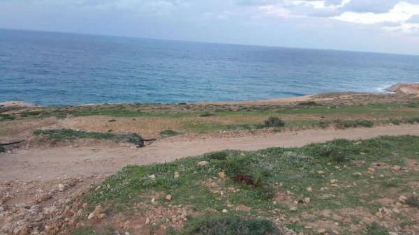 Vente terrain cap zbib Bizerte Tunisie