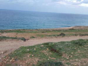 Vente terrain cap zbib Bizerte Tunisie