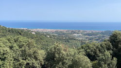 Vue