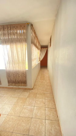 Patio 1