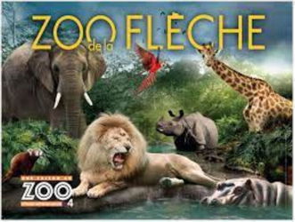location Flèche 72 Loue caravane 4 places 14/07 02/08 Camping 4* Piscine Zoo